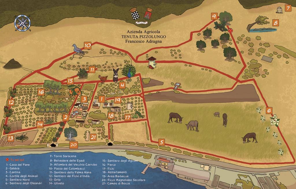 Azienda Agrituristica Tenuta Pizzolungo Ериче Екстериор снимка