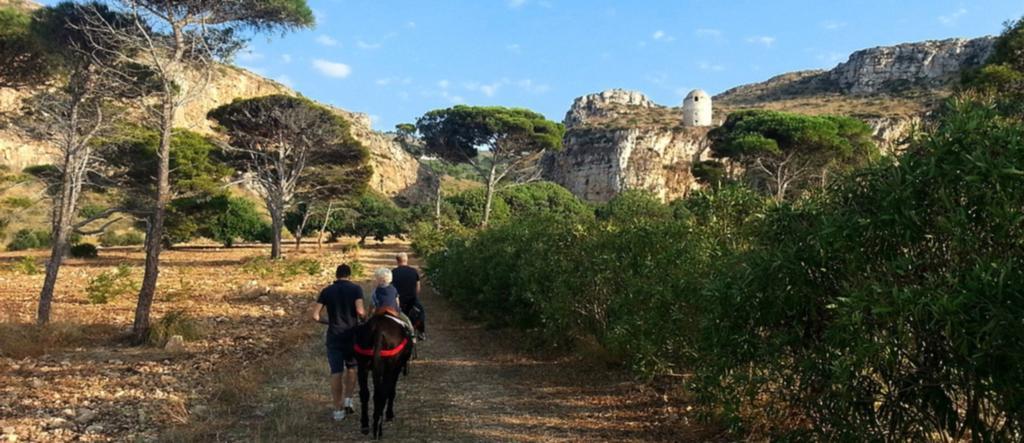 Azienda Agrituristica Tenuta Pizzolungo Ериче Екстериор снимка