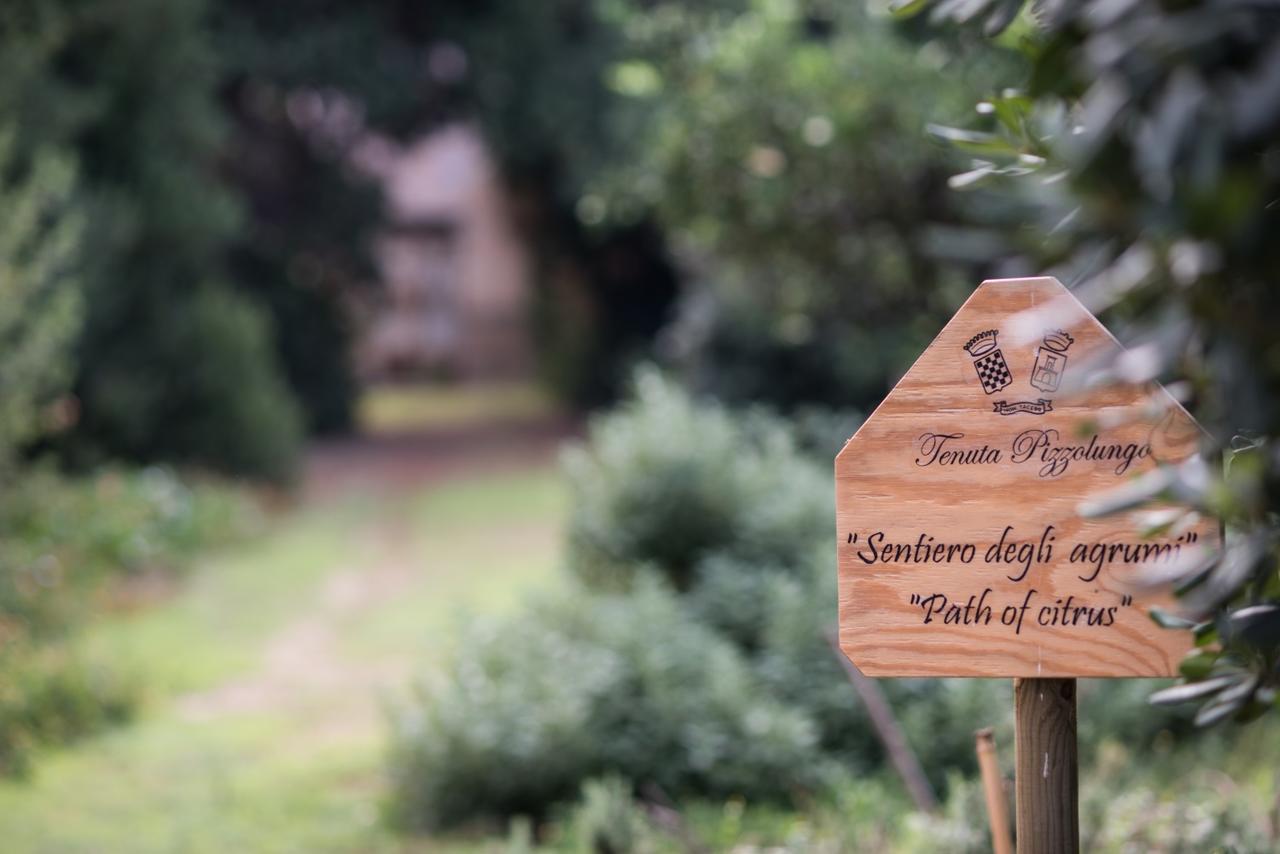 Azienda Agrituristica Tenuta Pizzolungo Ериче Екстериор снимка